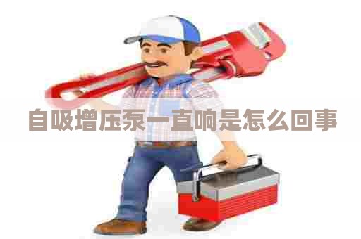 自吸增压泵一直响是怎么回事