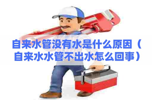 自来水管没有水是什么原因（自来水水管不出水怎么回事）