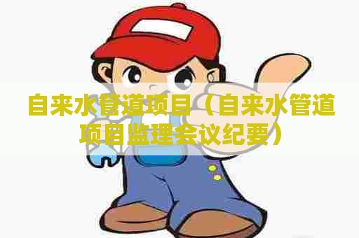 自来水管道项目（自来水管道项目监理会议纪要）