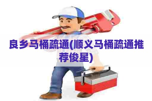 良乡马桶疏通(顺义马桶疏通推荐俊星)