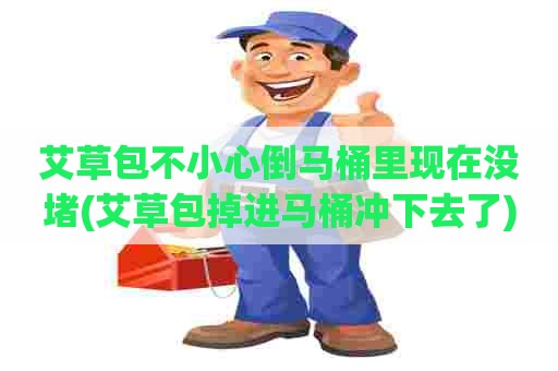 艾草包不小心倒马桶里现在没堵(艾草包掉进马桶冲下去了)