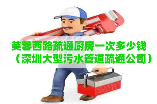 芙蓉西路疏通厨房一次多少钱（深圳大型污水管道疏通公司）