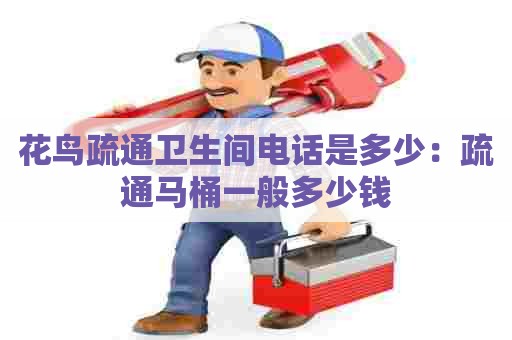 花鸟疏通卫生间电话是多少:疏通马桶一般多少钱 花鸟疏通卫生间电话是多少:疏通马桶一般多少钱