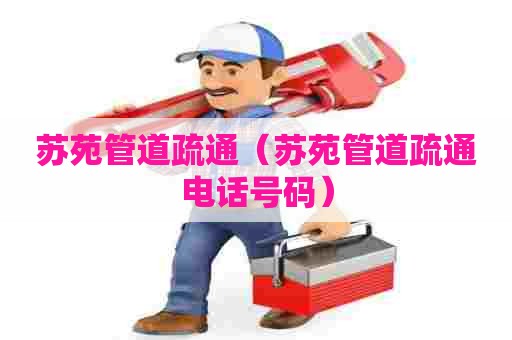 苏苑管道疏通（苏苑管道疏通电话号码）