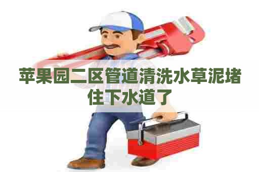 苹果园二区管道清洗水草泥堵住下水道了