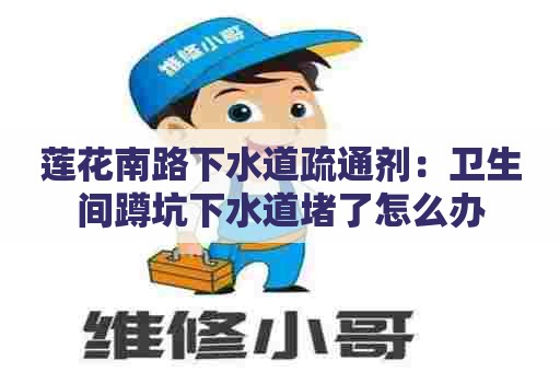 莲花南路下水道疏通剂：卫生间蹲坑下水道堵了怎么办