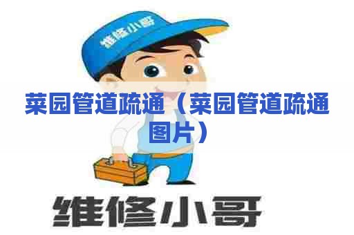 菜园管道疏通（菜园管道疏通图片）