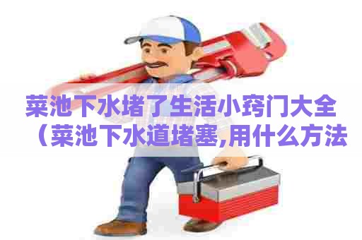 菜池下水堵了生活小窍门大全（菜池下水道堵塞,用什么方法解决）