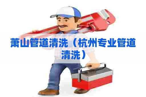 萧山管道清洗（杭州专业管道清洗）