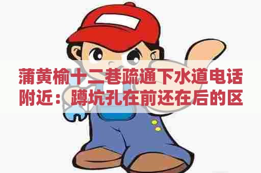 蒲黄榆十二巷疏通下水道电话附近:蹲坑孔在前还在后的区别 蒲黄榆十二巷疏通下水道电话附近:蹲坑孔在前还在后的区别