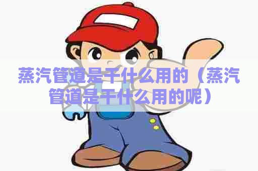 蒸汽管道是干什么用的（蒸汽管道是干什么用的呢）