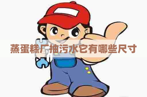 蒸蛋糕厂抽污水它有哪些尺寸