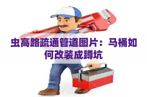 虫高路疏通管道图片:马桶如何改装成蹲坑 虫高路疏通管道图片:马桶如何改装成蹲坑