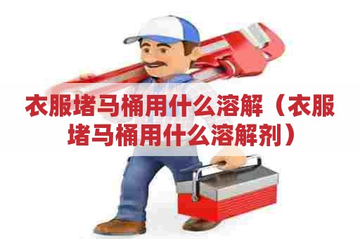 衣服堵马桶用什么溶解（衣服堵马桶用什么溶解剂）