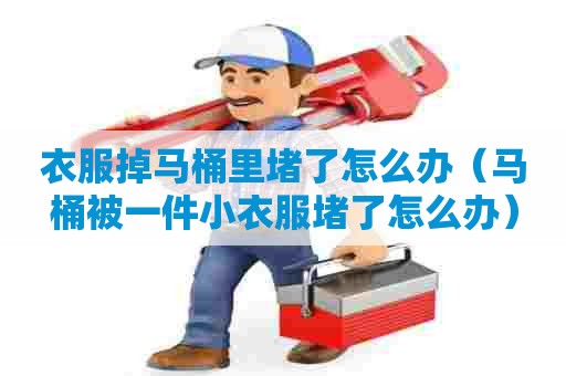 衣服掉马桶里堵了怎么办(马桶被一件小衣服堵了怎么办) 衣服掉马桶里堵了怎么办(马桶被一件小衣服堵了怎么办)