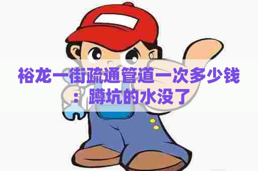 裕龙一街疏通管道一次多少钱:蹲坑的水没了 裕龙一街疏通管道一次多少钱:蹲坑的水没了