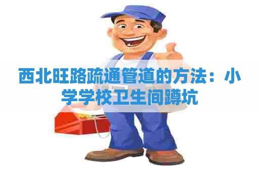 西北旺路疏通管道的方法:小学学校卫生间蹲坑 西北旺路疏通管道的方法:小学学校卫生间蹲坑