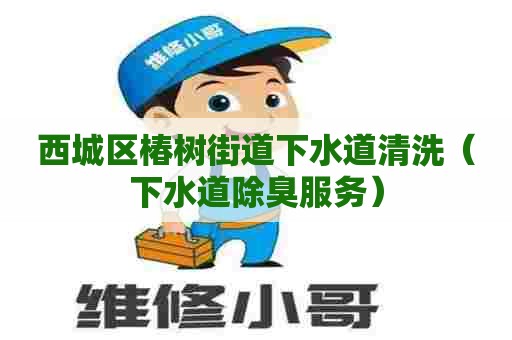 西城区椿树街道下水道清洗（下水道除臭服务）