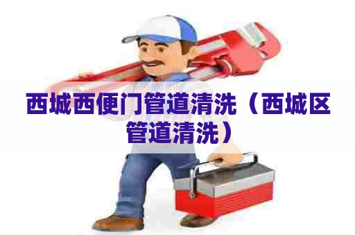 西城西便门管道清洗(西城区管道清洗) 西城西便门管道清洗(西城区管道清洗)