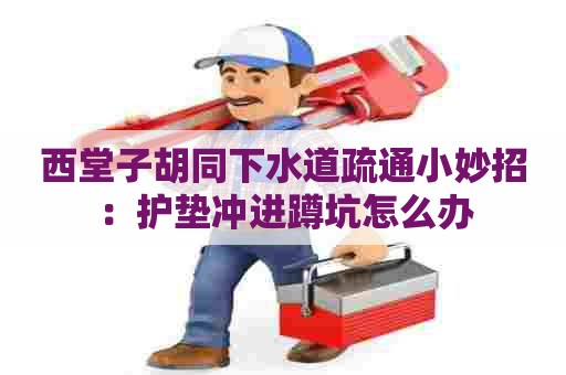 西堂子胡同下水道疏通小妙招：护垫冲进蹲坑怎么办