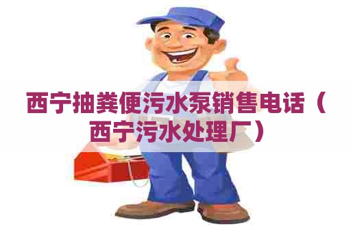 西宁抽粪便污水泵销售电话（西宁污水处理厂）