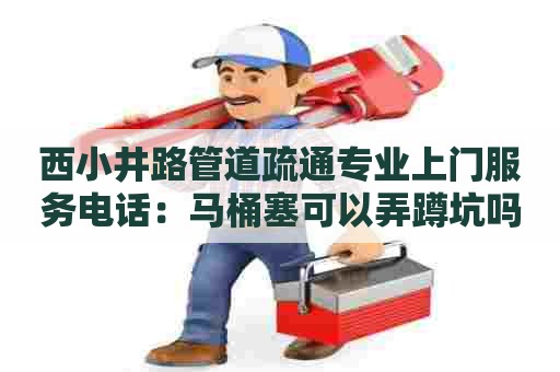 西小井路管道疏通专业上门服务电话：马桶塞可以弄蹲坑吗