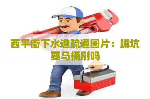 西平街下水道疏通图片：蹲坑要马桶刷吗