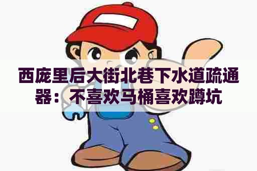 西庞里后大街北巷下水道疏通器:不喜欢马桶喜欢蹲坑 西庞里后大街北巷下水道疏通器:不喜欢马桶喜欢蹲坑