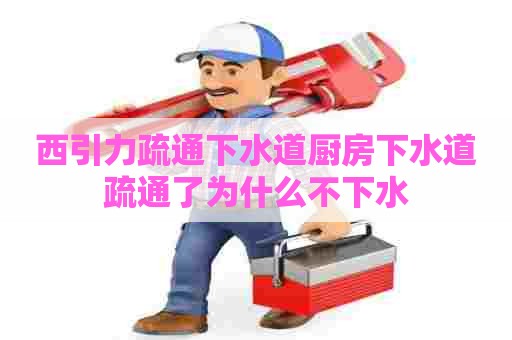 西引力疏通下水道厨房下水道疏通了为什么不下水