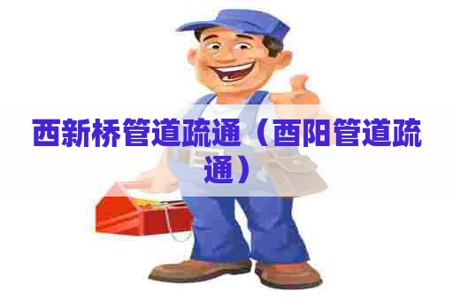 西新桥管道疏通（酉阳管道疏通）