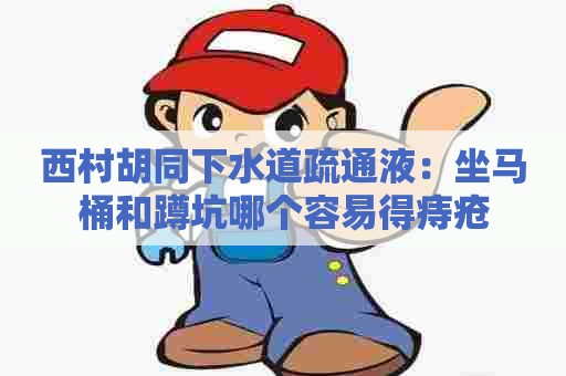 西村胡同下水道疏通液:坐马桶和蹲坑哪个容易得痔疮 西村胡同下水道疏通液:坐马桶和蹲坑哪个容易得痔疮