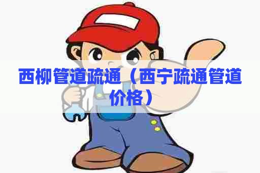 西柳管道疏通（西宁疏通管道价格）