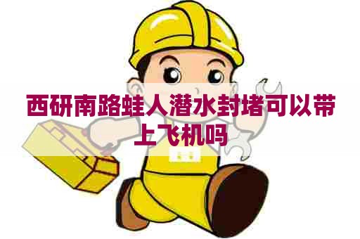 西研南路蛙人潜水封堵可以带上飞机吗 西研南路蛙人潜水封堵可以带上飞机吗