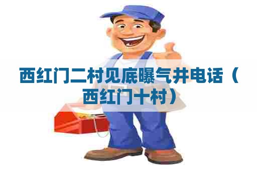 西红门二村见底曝气井电话（西红门十村）