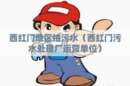西红门地区抽污水(西红门污水处理厂运营单位) 西红门地区抽污水(西红门污水处理厂运营单位)