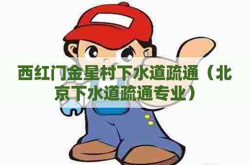 西红门金星村下水道疏通（北京下水道疏通专业）
