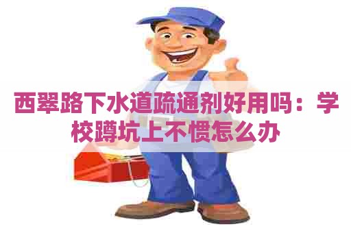 西翠路下水道疏通剂好用吗：学校蹲坑上不惯怎么办