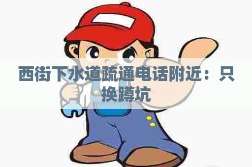 西街下水道疏通电话附近：只换蹲坑