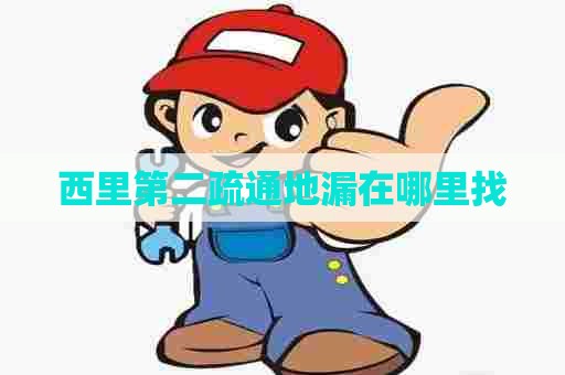 西里第二疏通地漏在哪里找