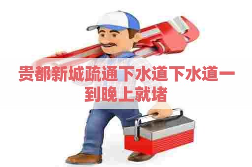 贵都新城疏通下水道下水道一到晚上就堵