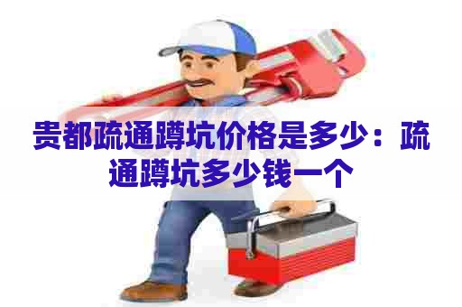 贵都疏通蹲坑价格是多少：疏通蹲坑多少钱一个