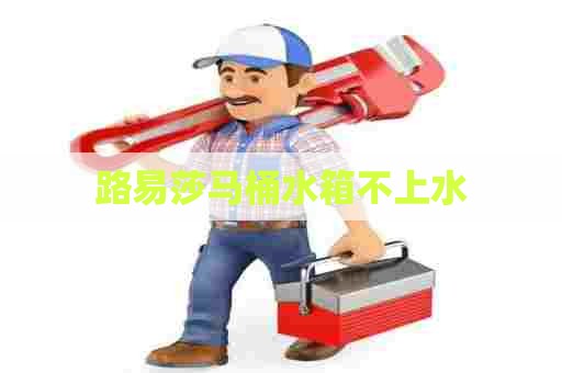 路易莎马桶水箱不上水