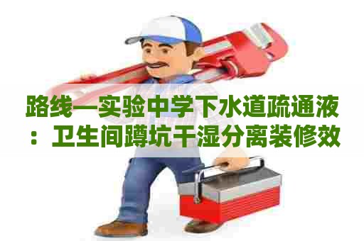 路线—实验中学下水道疏通液:卫生间蹲坑干湿分离装修效果图 路线—实验中学下水道疏通液:卫生间蹲坑干湿分离装修效果图