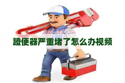 蹬便器严重堵了怎么办视频 蹬便器严重堵了怎么办视频