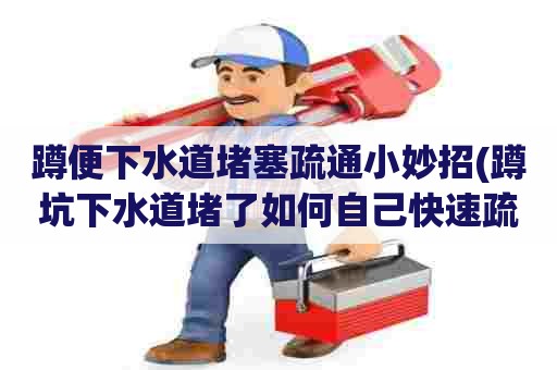 蹲便下水道堵塞疏通小妙招(蹲坑下水道堵了如何自己快速疏通) 蹲便下水道堵塞疏通小妙招(蹲坑下水道堵了如何自己快速疏通)