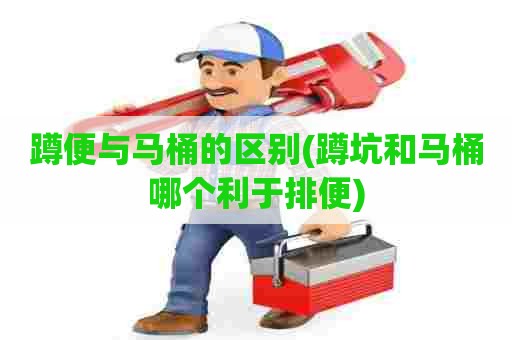 蹲便与马桶的区别(蹲坑和马桶哪个利于排便)