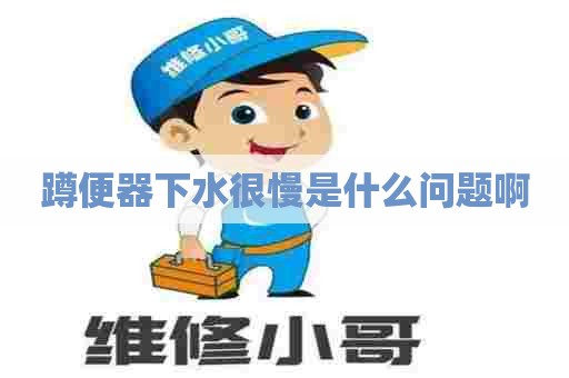 蹲便器下水很慢是什么问题啊