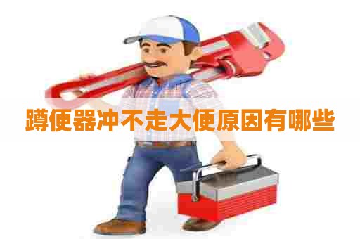 蹲便器冲不走大便原因有哪些