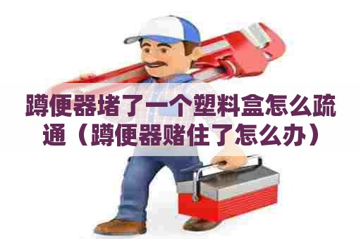 蹲便器堵了一个塑料盒怎么疏通（蹲便器赌住了怎么办）