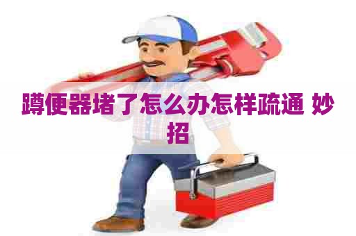 蹲便器堵了怎么办怎样疏通 妙招